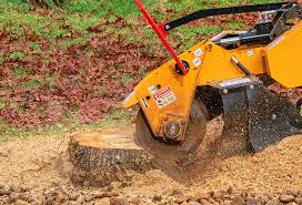 Lawn Maintenance Plans in Kerrville, TX